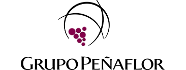 grupo peñaflor rac ingenieria